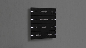 Gira Tastsensor 4